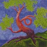 Dancing Arbutus Tree